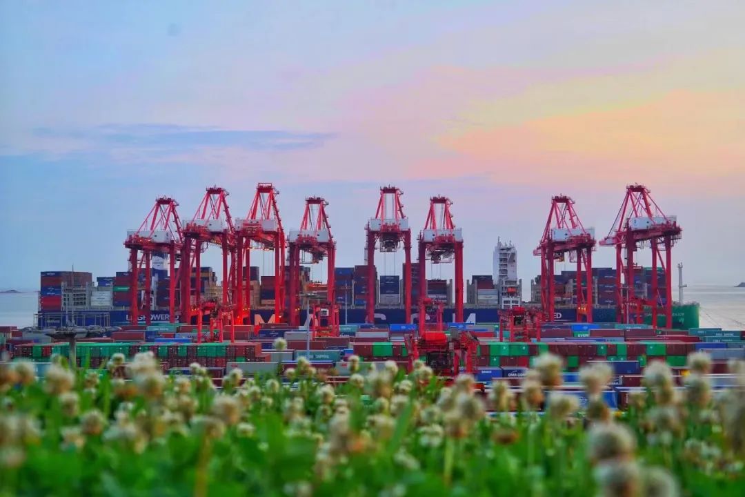 威九国际·V9(中国)最新官方网站