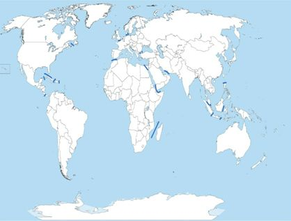 威九国际·V9(中国)最新官方网站